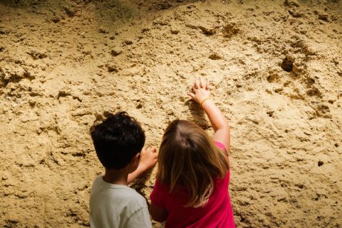 Monferrato family: alla scoperta dei fossili con gli storymovers