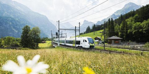 Un viaggio indimenticabile a bordo del Trenino Verde delle Alpi