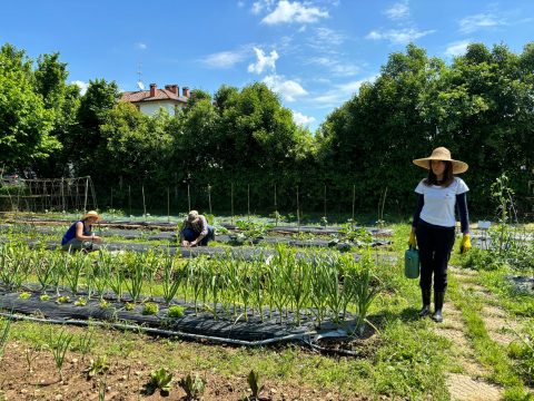 L’orto secondo Slow Food