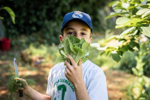 Comunità, gioia, conoscenza: gli orti Slow Food