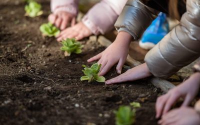 L’orto, un ambiente unico di apprendimento educativo