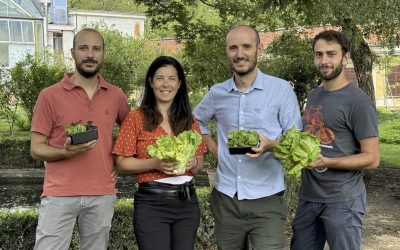 Citizen Salad, la ricerca che si coltiva sul balcone di casa