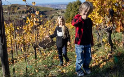 Langhe, Monferrato e Roero a misura di famiglie