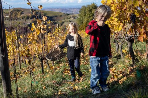 Langhe, Monferrato e Roero a misura di famiglie